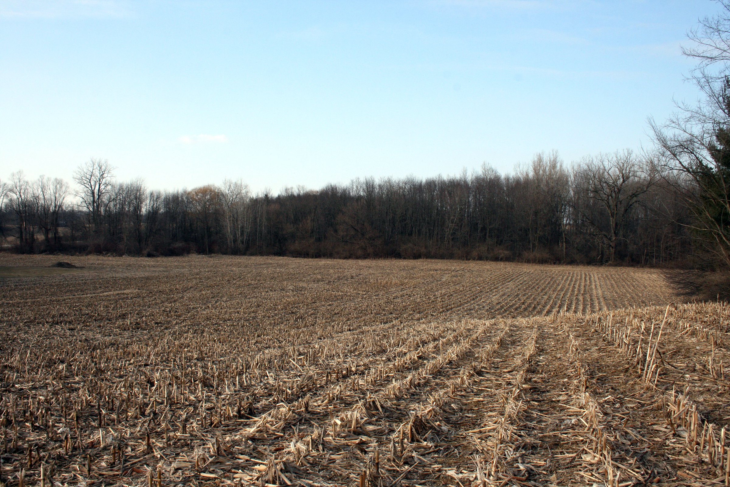 Property photo 4 - REAL ESTATE AUCTION - 84.5+/- ACRES IN 4 TRACTS IN WHITLEY COUNTY, INDIANA